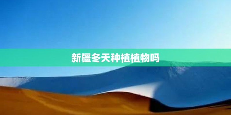 新疆冬天种植植物吗 新疆冬天种植植物吗