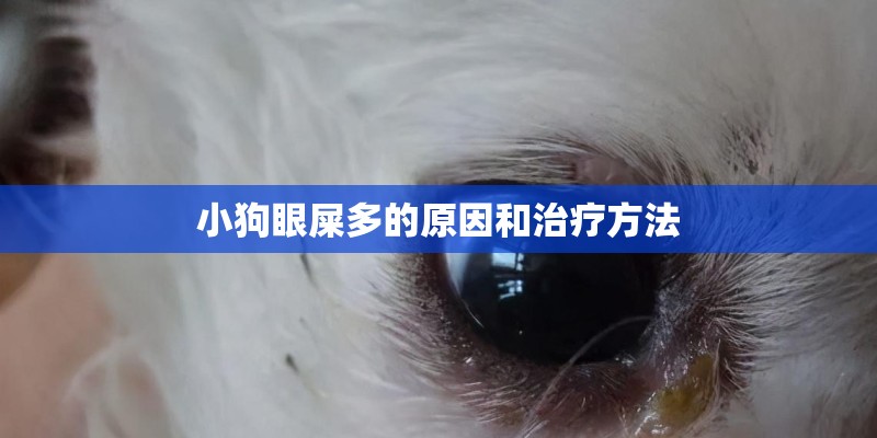 如何引导幼儿更好参与植物角的活动