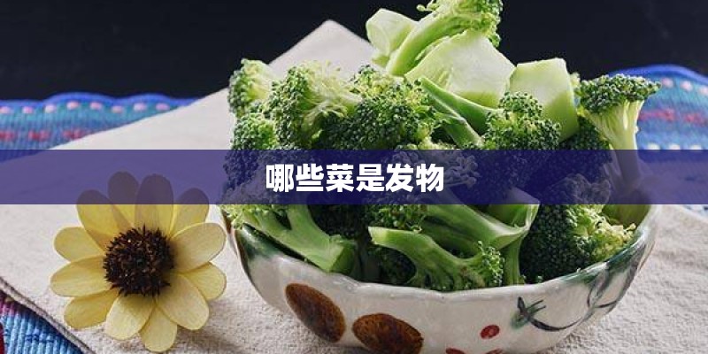 哪些菜是发物