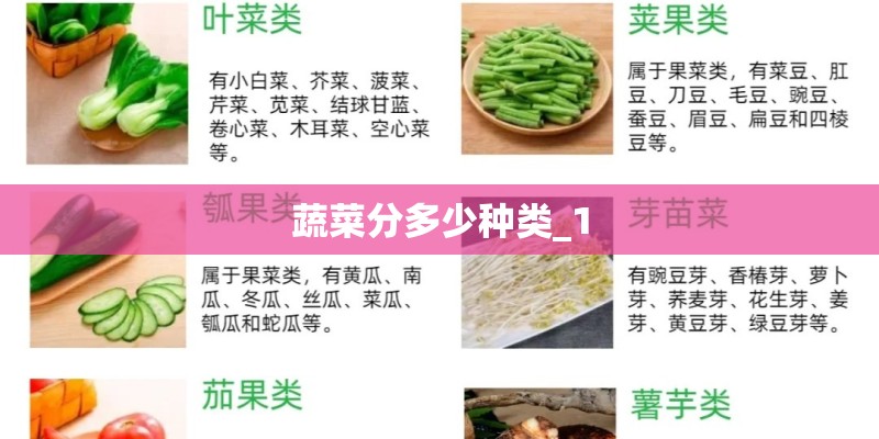 蔬菜分多少种类_1