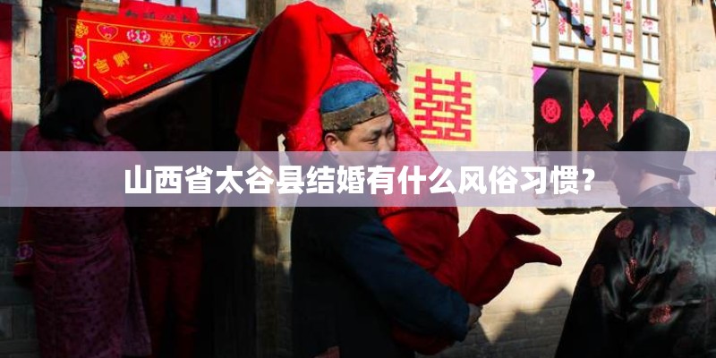 罗威纳犬主人自己怎么训练？