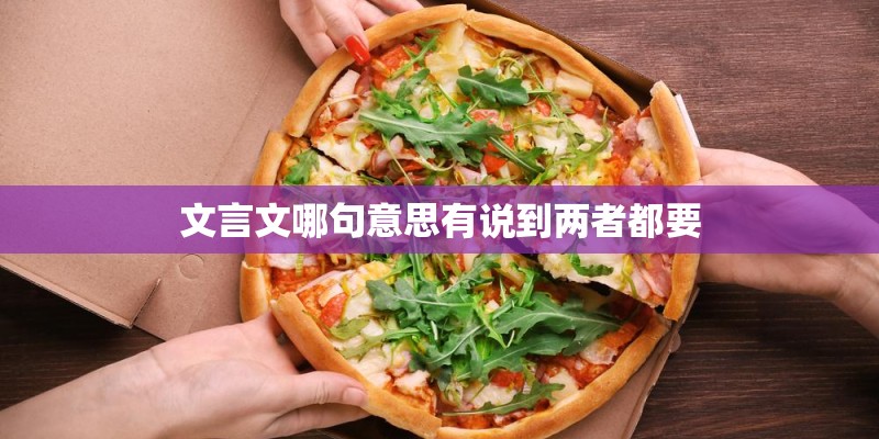 文言文哪句意思有说到两者都要