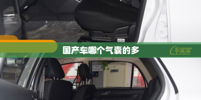 国产车哪个气囊的多