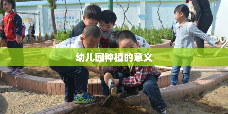 幼儿园种植的意义