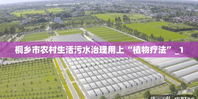 桐乡市农村生活污水治理用上“植物疗法”_1