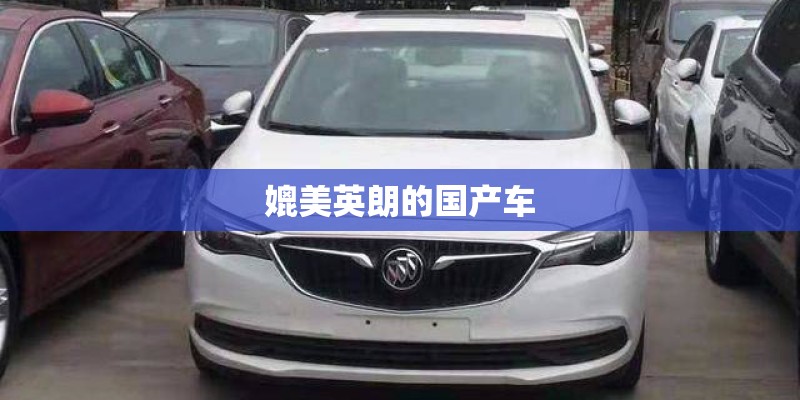 媲美英朗的国产车 媲美英朗的国产车