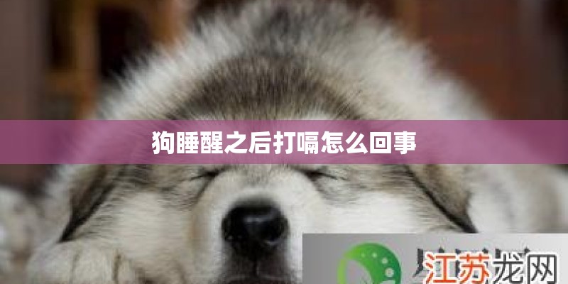 狗睡醒之后打嗝怎么回事