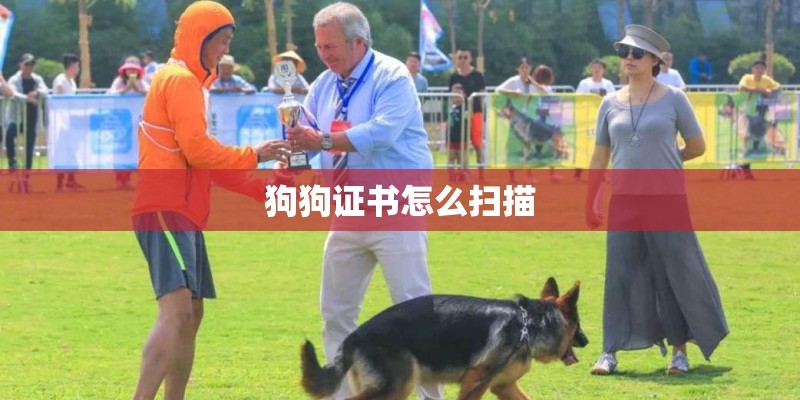 狗狗证书怎么扫描