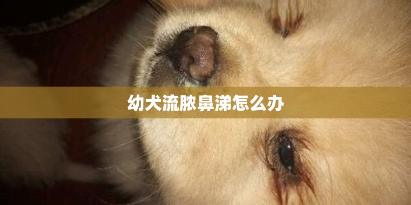 五年级 数学简易方程