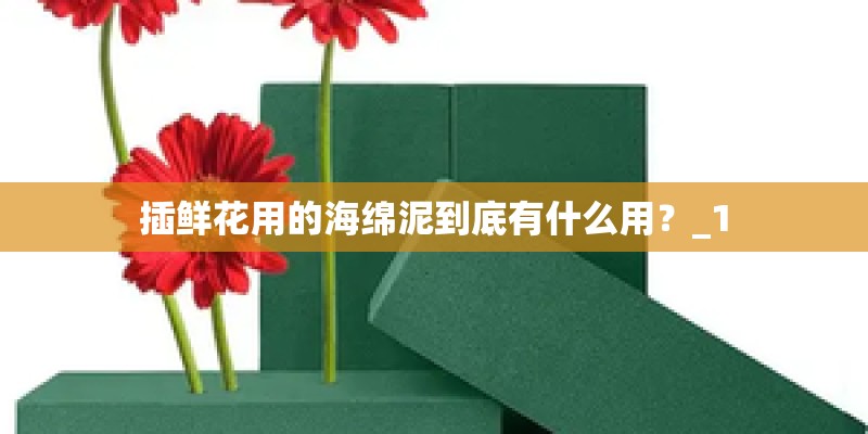 插鲜花用的海绵泥到底有什么用?_1 插鲜花用的海绵泥到底有什么用?_1