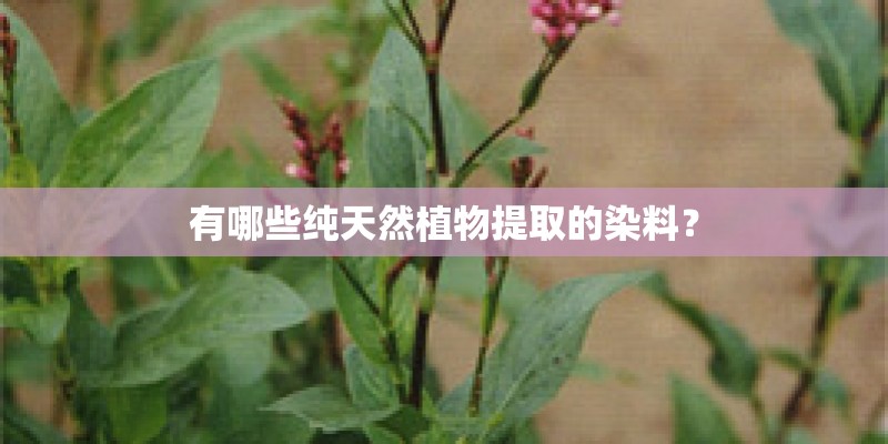 有哪些纯天然植物提取的染料？