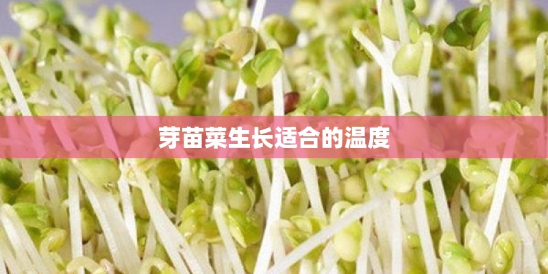 芽苗菜生长适合的温度