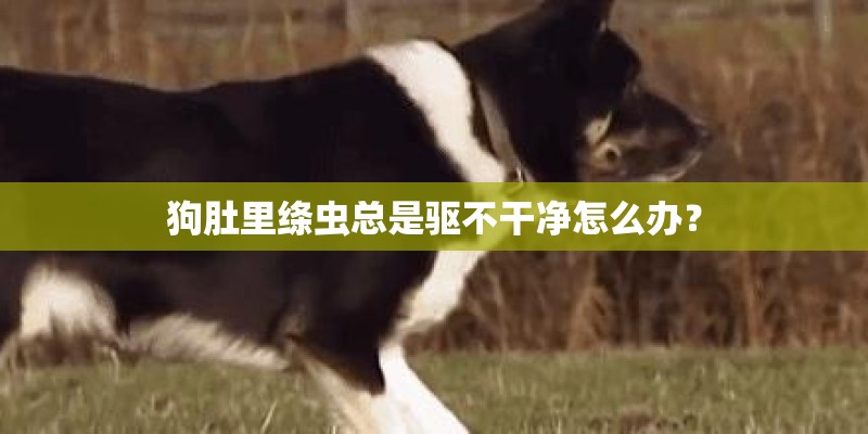 种花用什么土最好啊？
