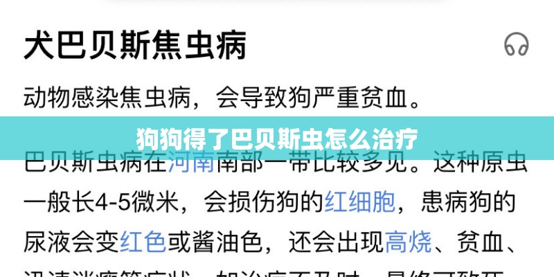狗狗得了巴贝斯虫怎么治疗