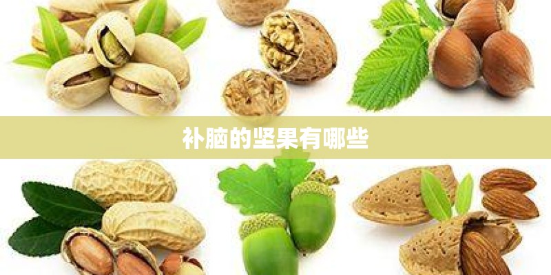 补脑的坚果有哪些