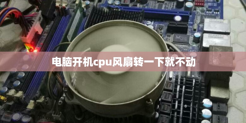 观察记录表. 植物篇四年级怎么写