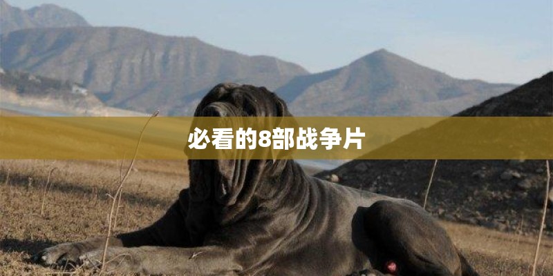 必看的8部战争片