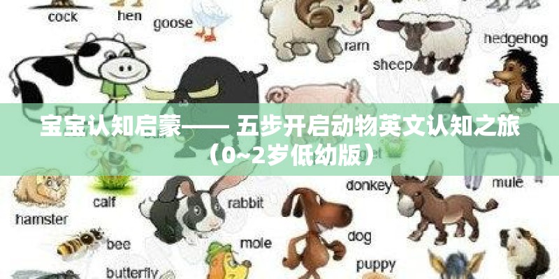 宝宝认知启蒙—— 五步开启动物英文认知之旅（0~2岁低幼版）