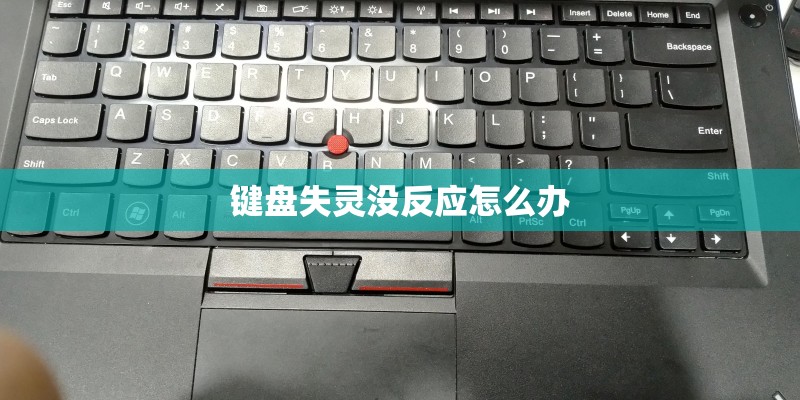 键盘失灵没反应怎么办