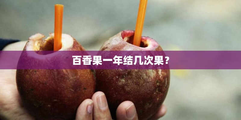 百香果一年结几次果？