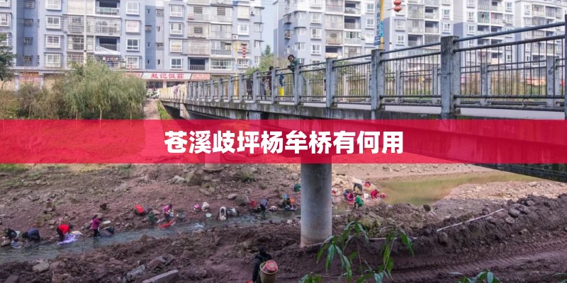 苍溪歧坪杨牟桥有何用
