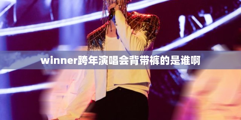 winner跨年演唱会背带裤的是谁啊 winner跨年演唱会背带裤的是谁啊
