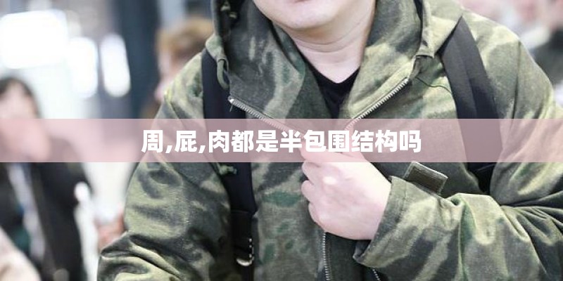 周,屁,肉都是半包围结构吗