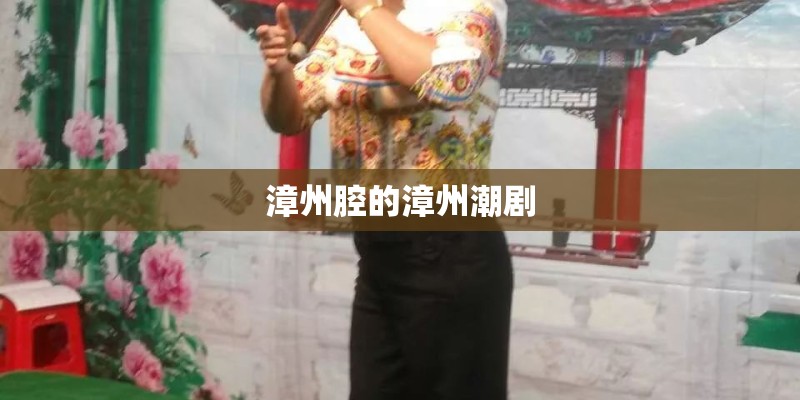 漳州腔的漳州潮剧
