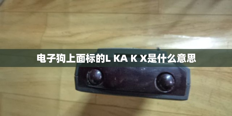 电子狗上面标的L KA K X是什么意思