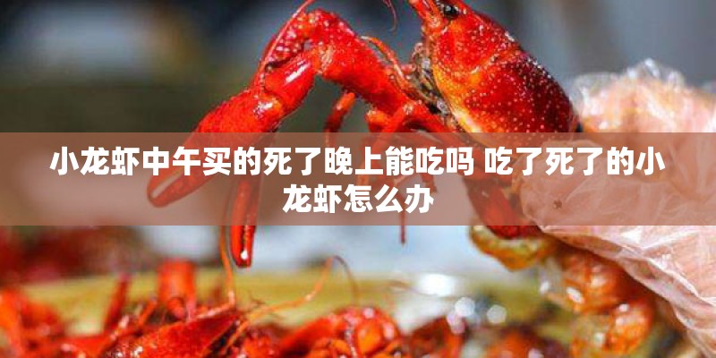 小龙虾中午买的死了晚上能吃吗 吃了死了的小龙虾怎么办