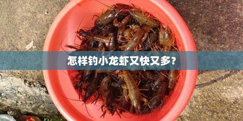 怎样钓小龙虾又快又多？