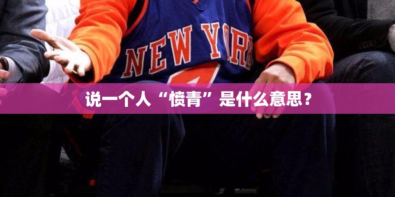 说一个人“愤青”是什么意思？