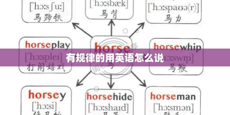 有规律的用英语怎么说