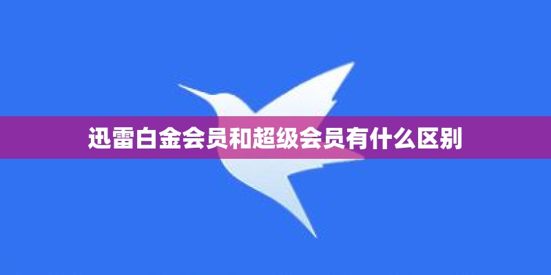 迅雷白金会员和超级会员有什么区别 迅雷白金会员和超级会员有什么区别