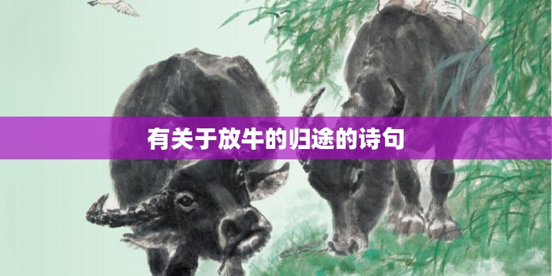 有关于放牛的归途的诗句 有关于放牛的归途的诗句