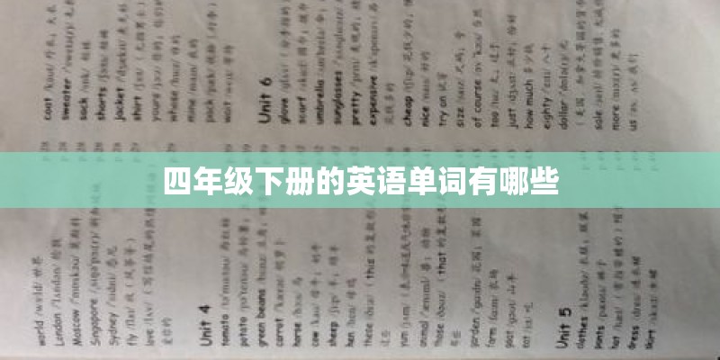 四年级下册的英语单词有哪些