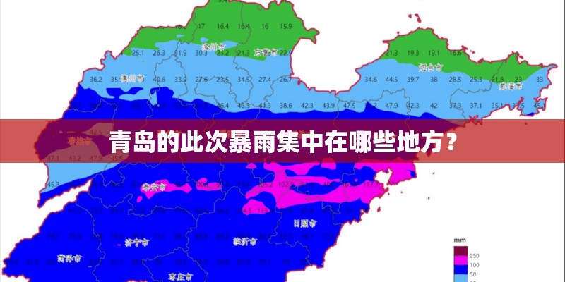 青岛的此次暴雨集中在哪些地方？