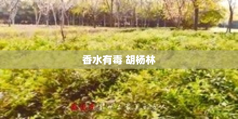 香水有毒 胡杨林