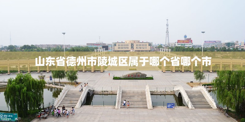 山东省德州市陵城区属于哪个省哪个市