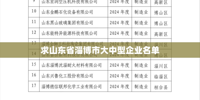 求山东省淄博市大中型企业名单