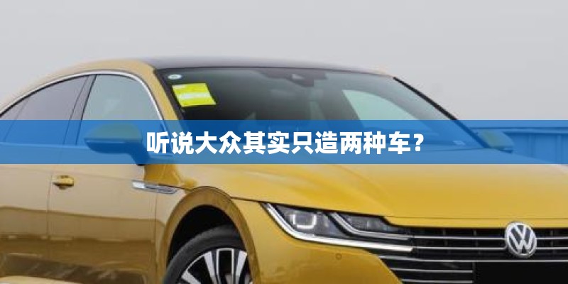 听说大众其实只造两种车? 听说大众其实只造两种车?