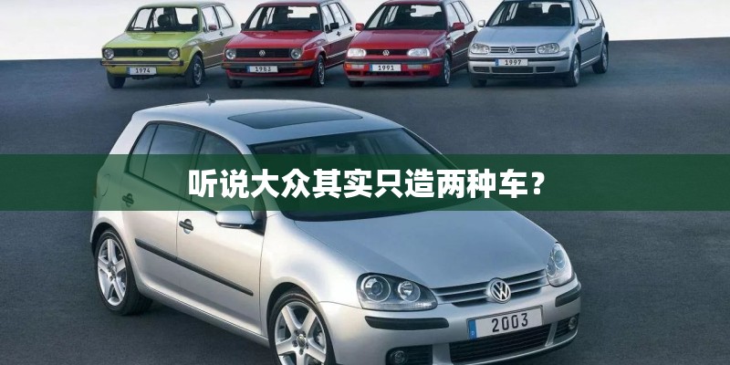 听说大众其实只造两种车? 听说大众其实只造两种车?
