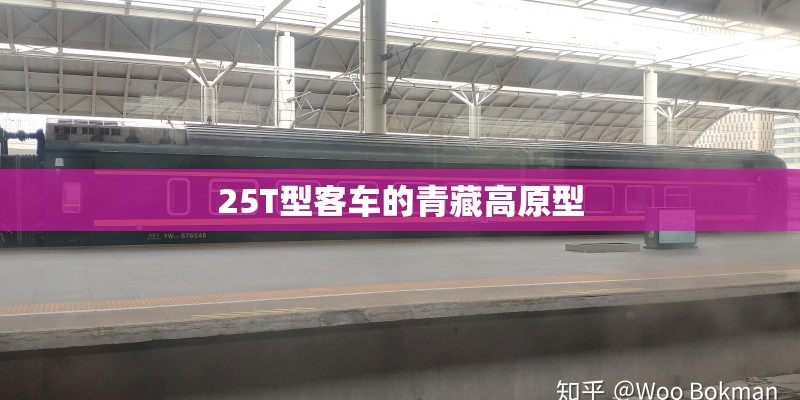 25T型客车的青藏高原型