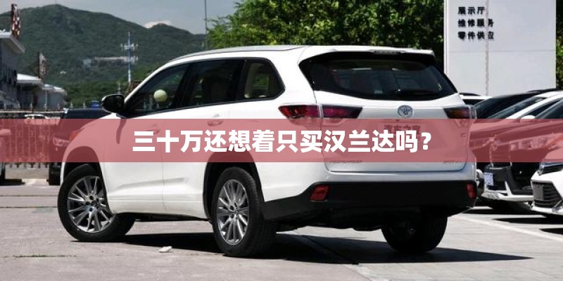 三十万还想着只买汉兰达吗? 三十万还想着只买汉兰达吗?