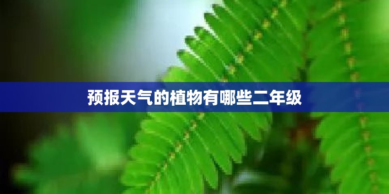 预报天气的植物有哪些二年级 预报天气的植物有哪些二年级