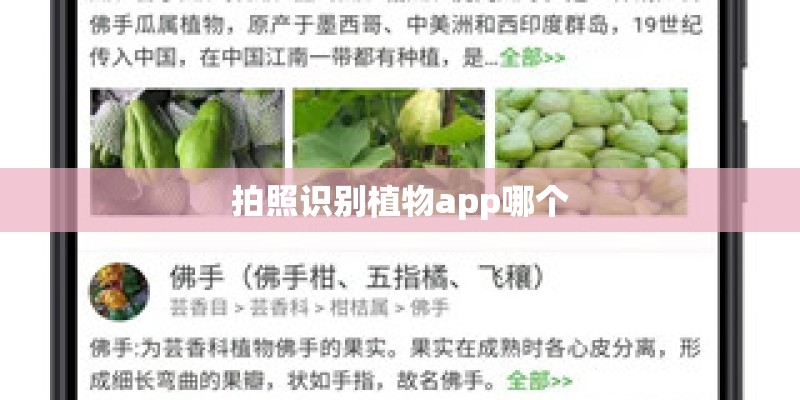 拍照识别植物app哪个
