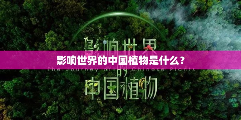 影响世界的中国植物是什么？