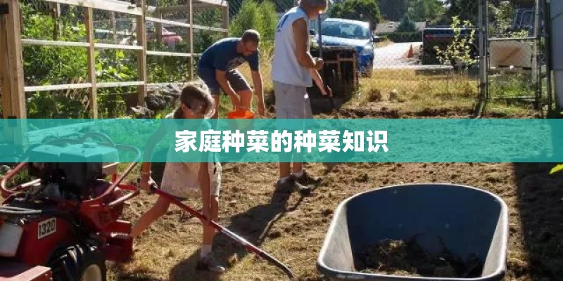 家庭种菜的种菜知识