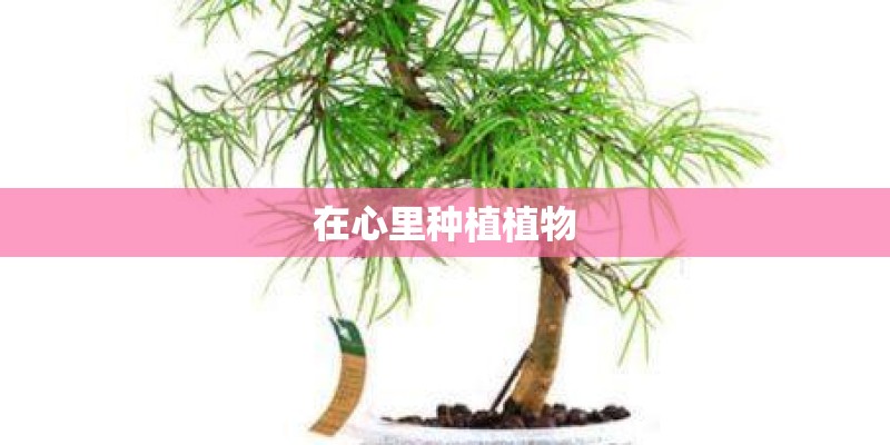 在心里种植植物
