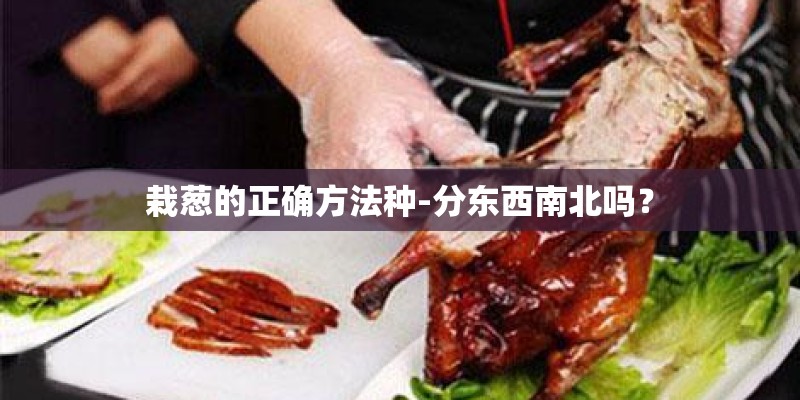 栽葱的正确方法种-分东西南北吗？